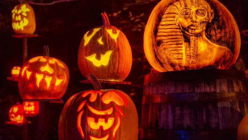 Ghost Tours, Jack-O-Lantern Spectacular and More Halloween Events Near Emblem 125